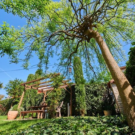 AvantGarden Umag Dış mekan fotoğraf